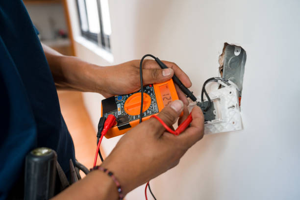 Best Local Electrician Companies  in Allendale, SC