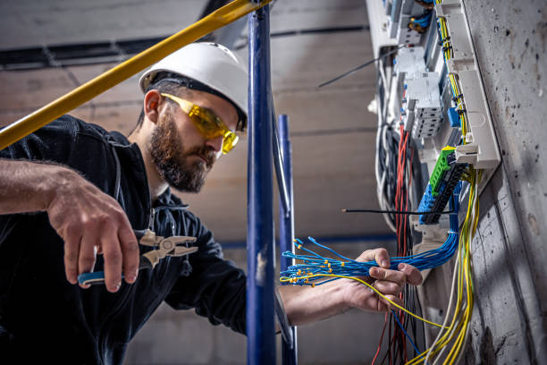 Best Ceiling Fan Installation Electrician  in Allendale, SC